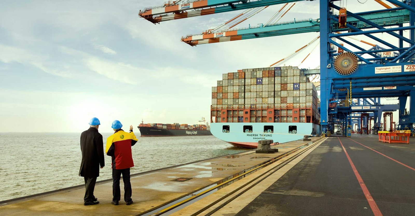 Import customs services